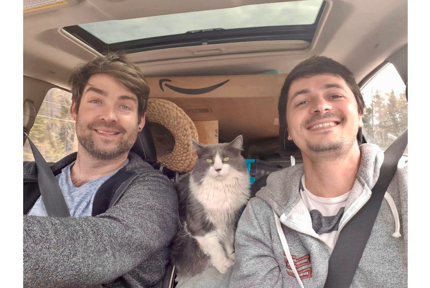 Michael Martel, left, Screebie the cat and Will Carvalho sit tight on their trip from Edmonton to P.E.I. in early May.