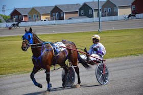 Driver Brodie MacPhee warms up Bugsy Maguire in preparation for one of two Governor’s Plate eliminations on Sunday afternoon. Bugsy Maguire qualified for the Governor’s Plate final, which will go for a $25,000 purse at Red Shores at Summerside Raceway on Saturday night.