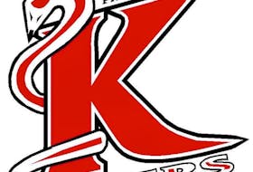 Kensington Vipers logo.
