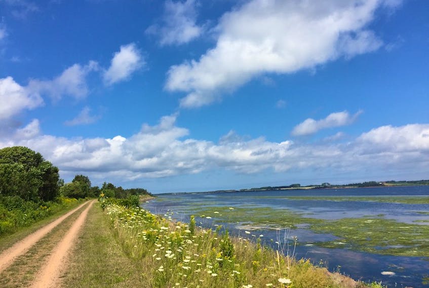 Christina Palassio biked P.E.I.'s Confederation Trail twice, most recently in September 2019. Christina Palassio/Special to The Guardian