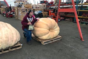 Luke Vessey wins first prize for his giant pumpkin weighing 518.7 kilograms during the annual Giant Pumpkin and Squash Weigh Off at Vesey's Seeds in York Oct. 10.