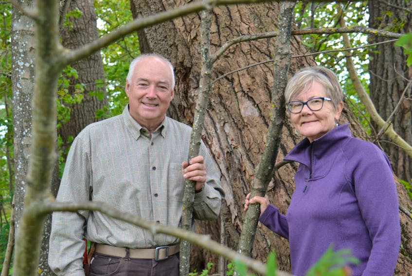 Jan Matejcek, left, and June Jenkins Sanderson surround themselves with nature near the Island Nature Trust office on Crown Drive in Charlottetown. The land preservation charity is celebrating its 40th anniversary this year.