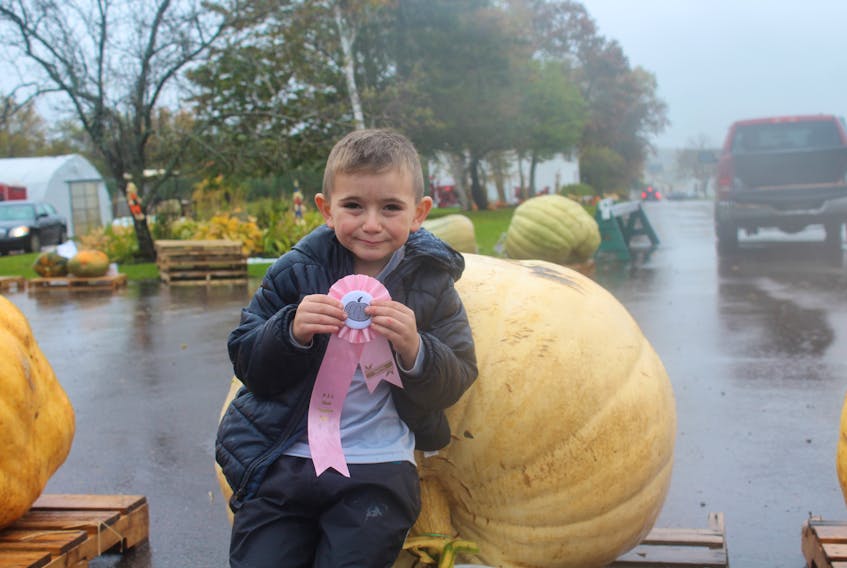 Seth Vessey stands with his sixth place 397.5 giant pumpkin at Vessey’s Seeds in York on Saturday. Seth and his family enter the annual Pumpkin Weigh-in every year. Ernesto Carranza/The Guardian