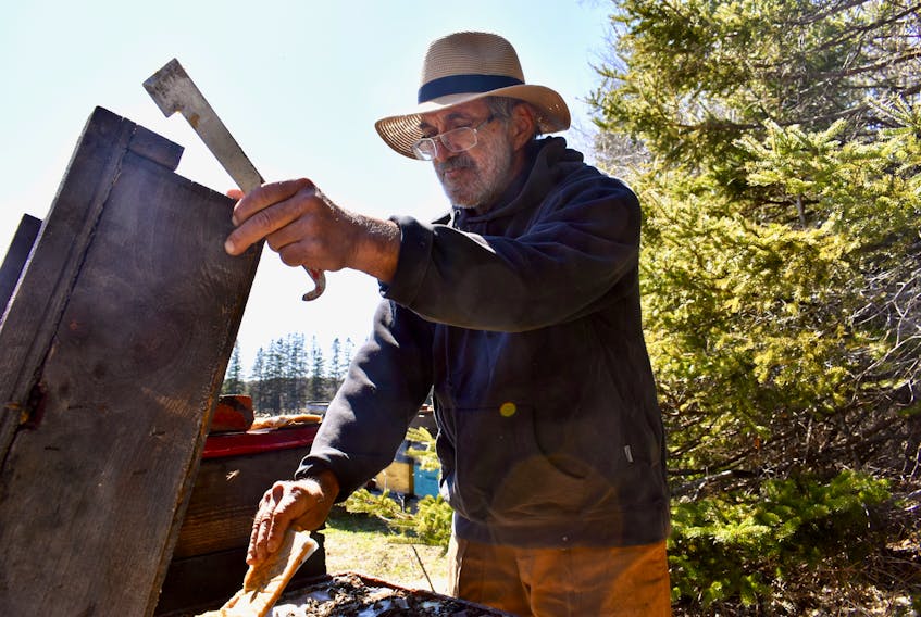 Stan Sandler lays a pollen patty inside one of his beehives for food near Murray River on April 25.