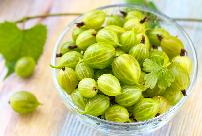 Cooked gooseberries are tasty in a variety of ways, including jams, jellies, relishes and desserts.