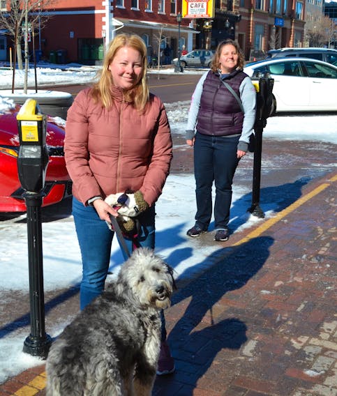 Bonnie Amyotte, left, and Susan Fyckes walk their dog Daisy during a sunny morning in Charlottetown. The two sisters are staying active by getting lots of fresh air, during this period of social distancing as a preventative measure against the spread of the coronavirus. - Sally Cole - The Guardian