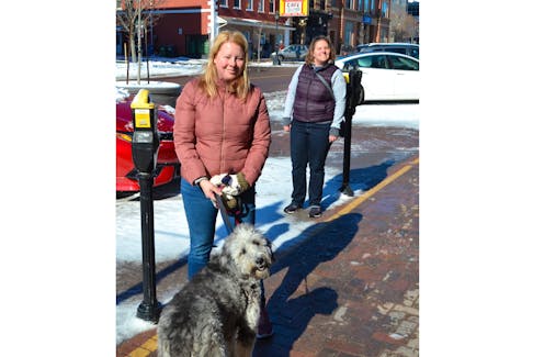 Bonnie Amyotte, left, and Susan Fyckes walk their dog Daisy during a sunny morning in Charlottetown. The two sisters are staying active by getting lots of fresh air, during this period of physical distancing as a preventative measure against the spread of the coronavirus.