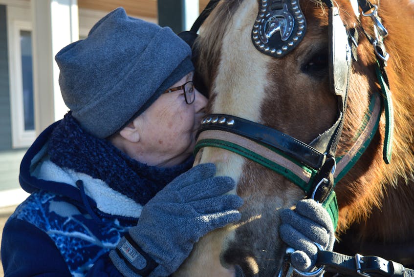 Jean Savoie shares a warm moment with Queen, a 23-year-old Belgian mare, outside Colville Manor in Souris on Wednesday. Red House Stables in Fortune took some of the manor’s residents on a horse and sleigh ride through the community.