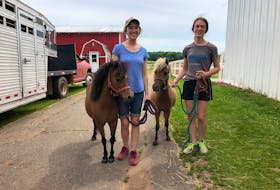 Island Hill Farm employees Caitlin, left, and Emma Ledgerwood hold miniature horses Missy, left, and Sedona. The minis escaped together early Monday morning.