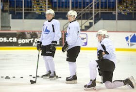 These three defencemen earned their stripes as rookies with the Charlottetown Islanders during the 2019-20 season. From left, Will Trudeau, Anthony Hamel and Oscar Plandowski are back for their sophomore season this year.