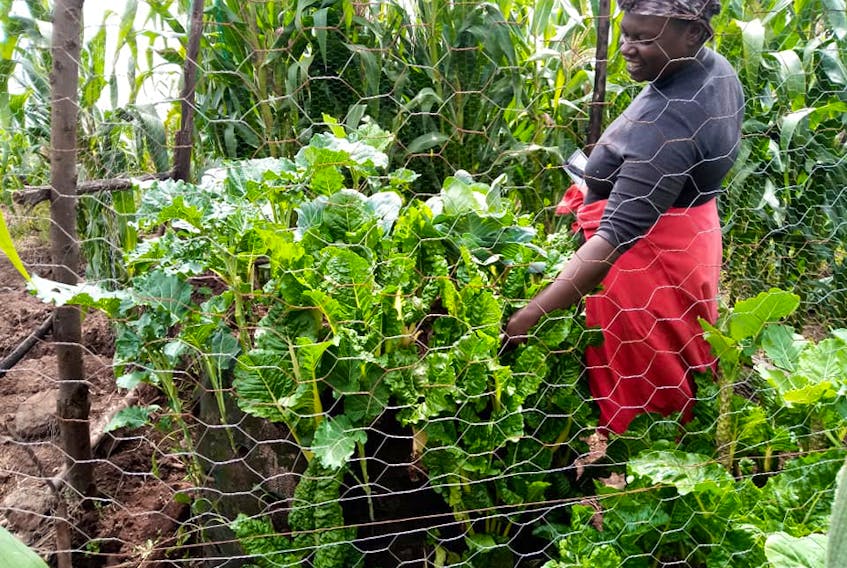 A Kenyan woman shows some of the produce grown with a vegetable growing bag provided by Farmers Helping Farmers (FHF) to families. It’s one of the new gift items offered through the FHF Holiday campaign.