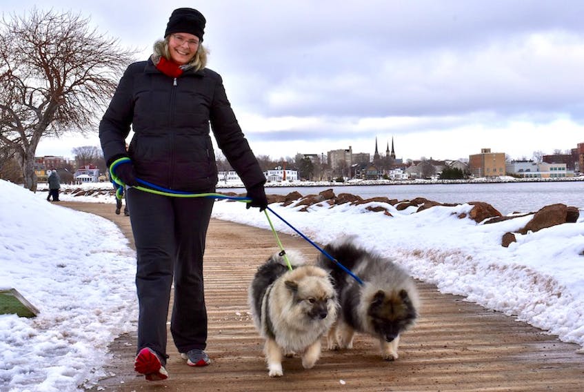 Sarah Kellan enjoys the mild weather as she walks her dogs, Dolly and Jasper, on the Victoria Park Boardwalk in Charlottetown on Jan. 27.