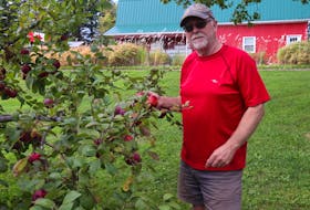 Mike Beamish owns Beamish Orchards and Deep Roots Distillery in Warren Grove. He opened the distillery when he realized he could use the orchard’s ground apples by fermenting and distilling the juice.
