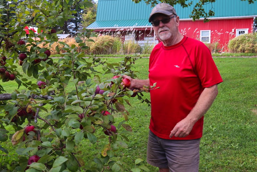 Mike Beamish owns Beamish Orchards and Deep Roots Distillery in Warren Grove. He opened the distillery when he realized he could use the orchard’s ground apples by fermenting and distilling the juice.