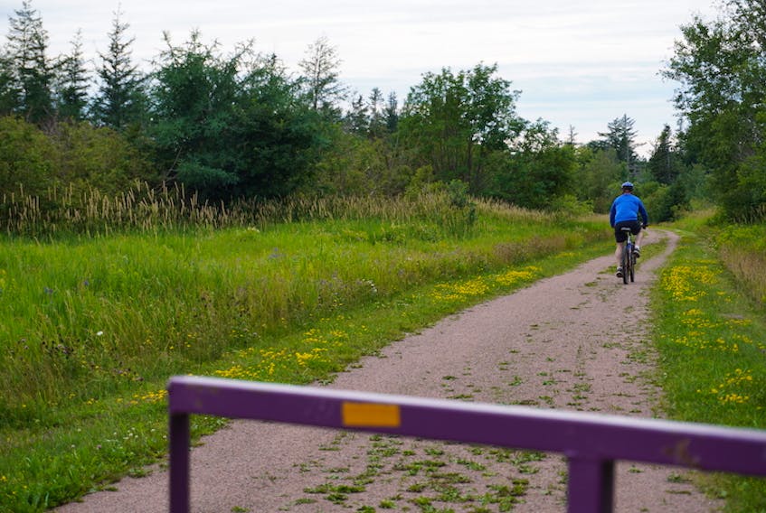 A cyclist bikes down a stretch of the Confederation Trail in Mount Stewart in this Guardian file photo. Recently, the Resort Municipality applied for funding to add more walking and biking trails to some of its own communities, including Cavendish and Stanley Bridge.