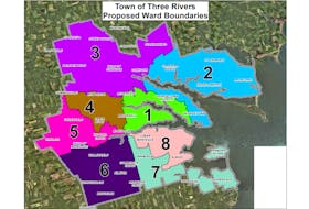 The ward structure proposed by Three Rivers' electoral boundaries commission was presented during a committee meeting in Georgetown on Sept. 28. The structure has not been approved by council and is therefore subject to change.
