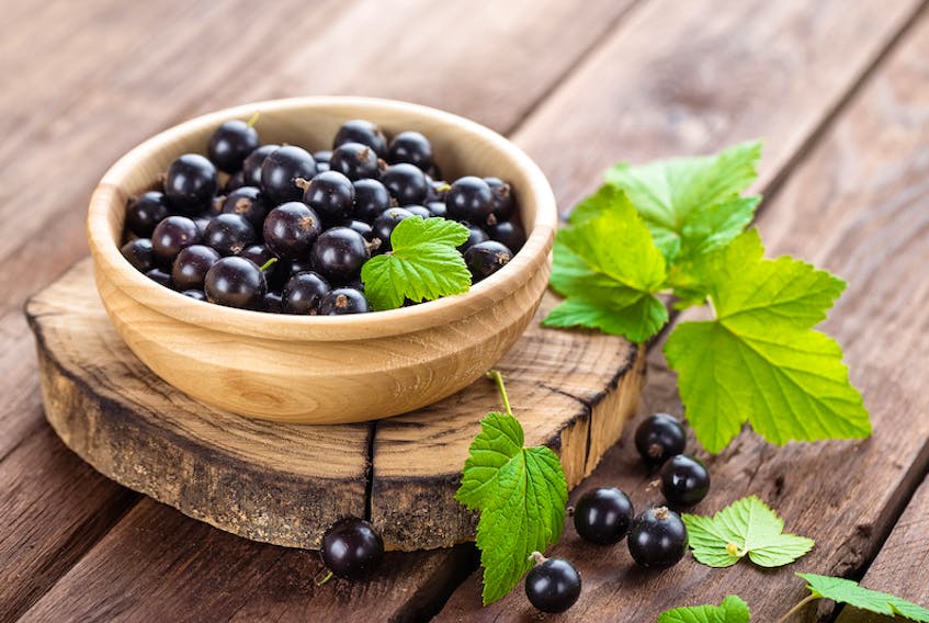 Since black currants have plenty of pectin and acid, both required for making jam or jelly, it is not necessary to supplement either with commercial pectin or lemon juice.