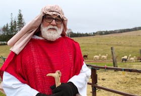 Chrys Jenkins shepherds his flock of alpacas in preparation for the living nativity fundraiser at his farmhouse in Canoe Cove. The event takes place Dec. 6-8, with all proceeds going toward the Children’s Wish Foundation. Daniel Brown/The Guardian