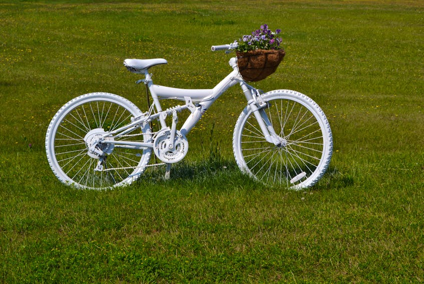 A painted-white bicycle along Route 12 in Kildare Capes identifies the general area where a car struck and killed cyclist Marjolaine Ward in August 2018. On Friday in P.E.I. Supreme Court, the 32-year-old driver of the car, Matthew Clifford Gaudet, was sentenced to two years in prison for dangerous driving causing death and failing to remain at the scene of a collision. Gaudet entered guilty pleas to the charges against him in July.
