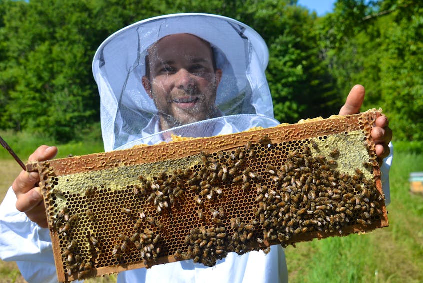 Mickael Jauneau holds a honey comb frame from one of Canoe Cove Honey’s 200 hives. The bees of each hive produce an average of 99 lbs of honey per year.