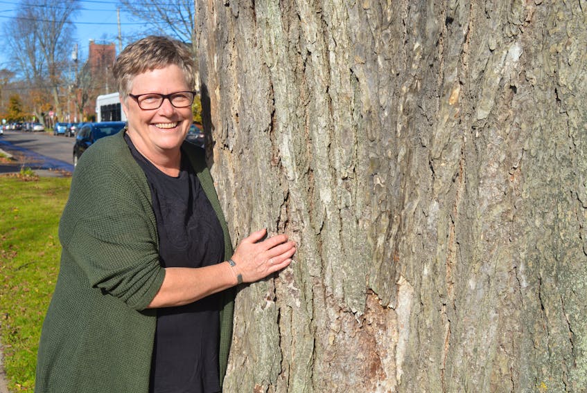 Beth Hoar, who retired last week as the City of Charlottetown’s forest and environmental officer, says one of her passions is trees, especially the big elm trees such as this American elm at the corner of Grafton and Rochford streets that was planted in the late 1880s. It measures 145 centimetres in diameter and towers over the neighbourhood homes. It is believed to be the biggest elm tree on a city right-of-way.