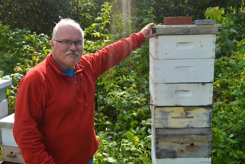 Bruce Smith, a beekeeper in Morell, says not only are bees vital to the environment they are not aggressive and nothing to be afraid of. This hive alone contains more than 60,000 bees. During the interview with Smith at this beehive (there are additional hives next to the one pictured here) hundreds of bees flew in and out of the hives, not once bothering him or this reporter. - Dave Stewart