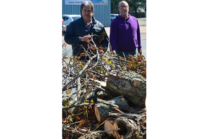 Charlottetown Coun. Mitchell Tweel, left, and resident Roger Ross stand next to one of the many trees that haa fallen in the city due to post-tropical storm Dorian. Ross said he does what he can to help his neighbours who have fallen trees while Tweel is calling on the city to step up.