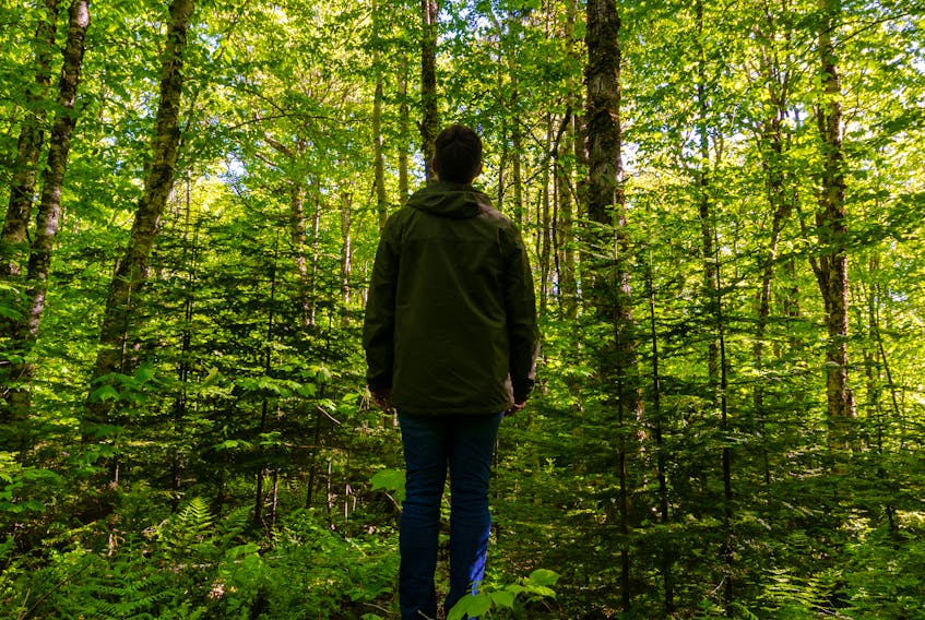 A man walked in the woods at the Mel and Camilla MacPhee Nature Reserve in Kingsboro, P.E.I. Photo by Sean Landsman (submitted)