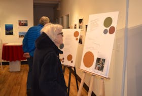 Catherine Hennessey, a member of Charlottetown’s arts advisory board, takes a look at some of the ideas for public art submitted by the public and unveiled at an open house hosted in March.