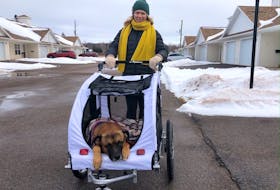 Jo-Anne Praught and her recent foster, Ritz, out for an afternoon walk in their neighbourhood.