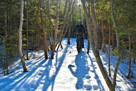 VIDEO: Fat biking gains traction in Summerside’s Rotary Friendship Park