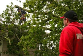 Cory Adams watches for falling debris as Donnie DesRoches uses his chainsaw, on the roof of a home on Poplar Street in Summerside, to remove a large tree that had fallen during the night. The two men were helping a neighbour clean up Sunday morning in the aftermath of hurricane Dorian, which hit the Maritimes overnight.