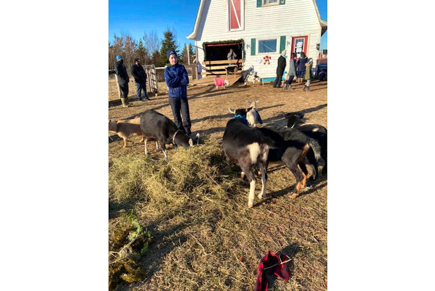 Party-goers enjoying spending New Year’s Day with the Beach Goats.