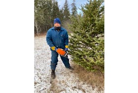 Having a property with an abundance of evergreens, Cheryl and Lewis Boom have decided to give some away for people in need of a Christmas tree. If he's home, Lewis, pictured, doesn't mind cutting it down for them.