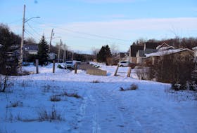 A plot of land at the end of Colin Avenue in Summerside has sat empty for nearly 30 years, but a developer is now interested in building a number of semi-detached homes there.