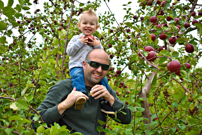 Mitchell Phillips and his nephew Chase Ramsay come every year to pick apples at Arlington Orchards.