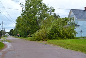 Downed trees, like this one along Central Street in Alberton, that brought down utility lines with them, are causing challenges for electrical utility and internet service provider crews right across Prince Edward Island in the wake of hurricane Dorian.