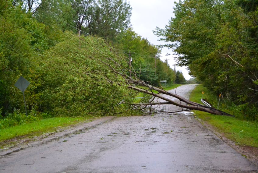Trees and power lines went down across P.E.I. during hurricane Dorian's visit more than a week ago, leading to blocked roads and lost power. Tignish-Palmer Road MLA Hal Perry feels the provincial government did not react quickly enough for his region, but Conservative cabinet minister Ernie Hudson from Alberton-Bloomfield defends his government's response.