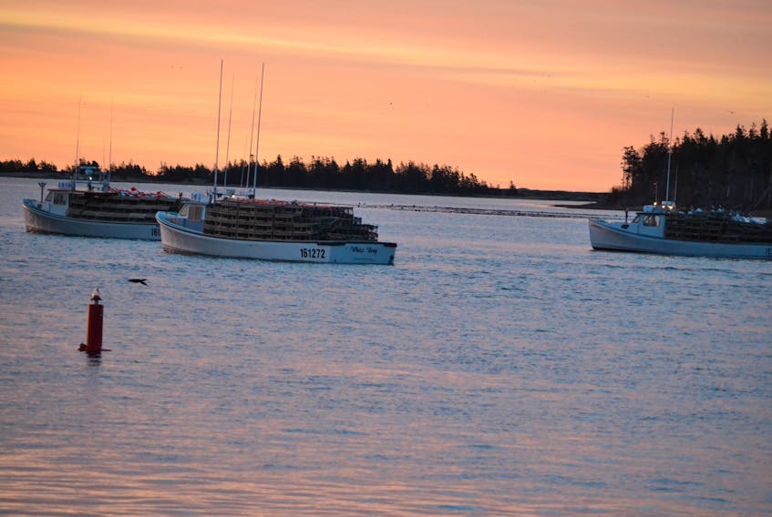 Lobster fishing boats sail out of Alberton Harbour on setting day in May. The Prince Edward Island Fishermen's Association is seeking a ban on all lobster fishing activity in the southern Gulf between the spring and fall commercial fisheries.