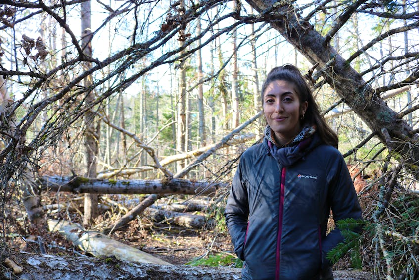 Jillian Clow, a part-time employee of the Trout River Environmental Committee (TREC), said the trees toppled over on the River Bend Trails and the Devil's Punchbowl trail in South Granville are blocking the trail system and, in some areas, destroyed river bank.