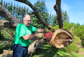Troy Beck, of Miscouche, worked to take down a huge tree that fell on his property during post-tropical storm Dorian in September.