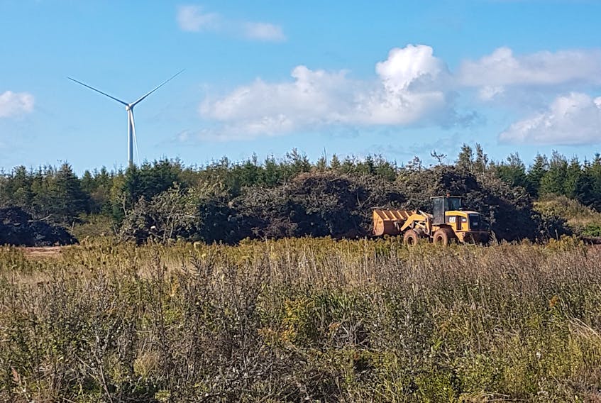 The City of Summerside is trying to decide the best way to deal with all the wood debris leftover from the ongoing cleanup of hurricane Dorian.