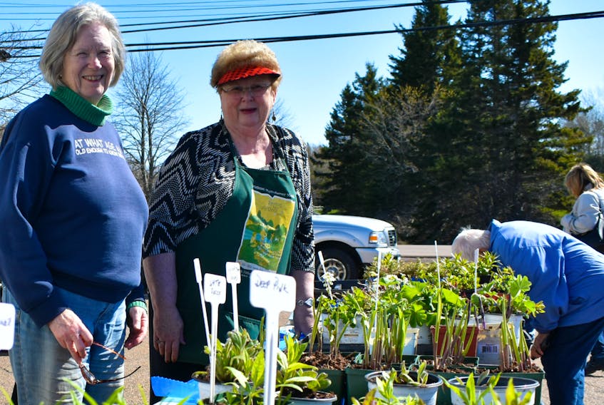 Carol Capper, left, and Sandy Gallant, work the Summerside Area Garden Club plant sale.