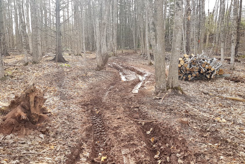 With ATV trail systems remaining closed until ground conditions harden, groups like the 
East Prince Quad Trax ATV Club No. 5 are faced with the issue of some riders taking the trails and damaging private property.