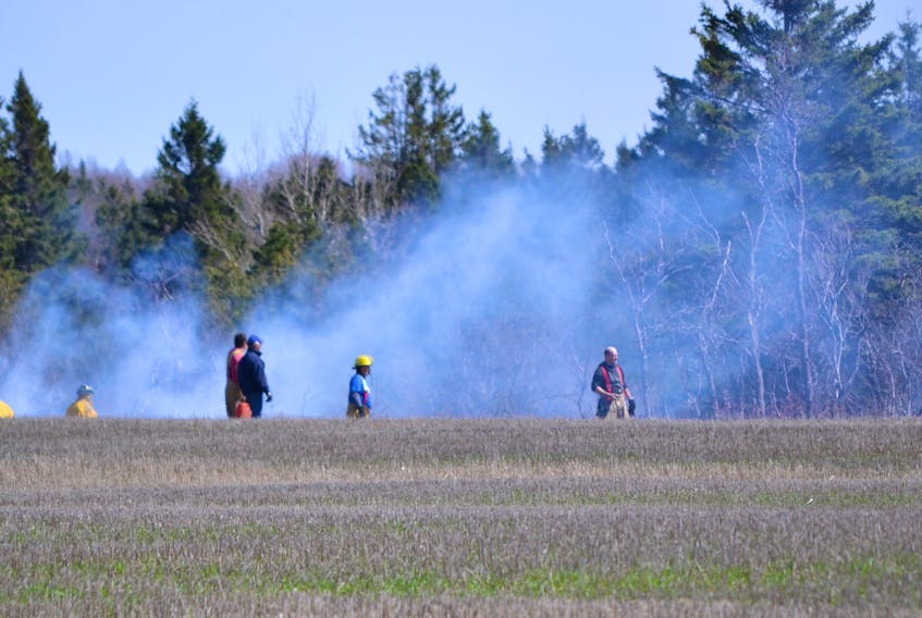 Firefighters from four West Prince departments, along with Department of Forestry personnel and area residents, battled a grass fire in Campbellton on Wednesday afternoon. The fire got into a tree line and devoured a few trees before it was extinguished.
