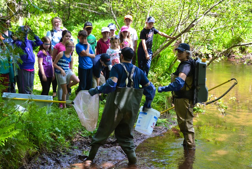 Fish and Wildlife officials Matt Sheidow and Rosie MacFarlane explain to O’Leary Elementary School children how electrofishing is used in evaluating fish populations in Island streams.