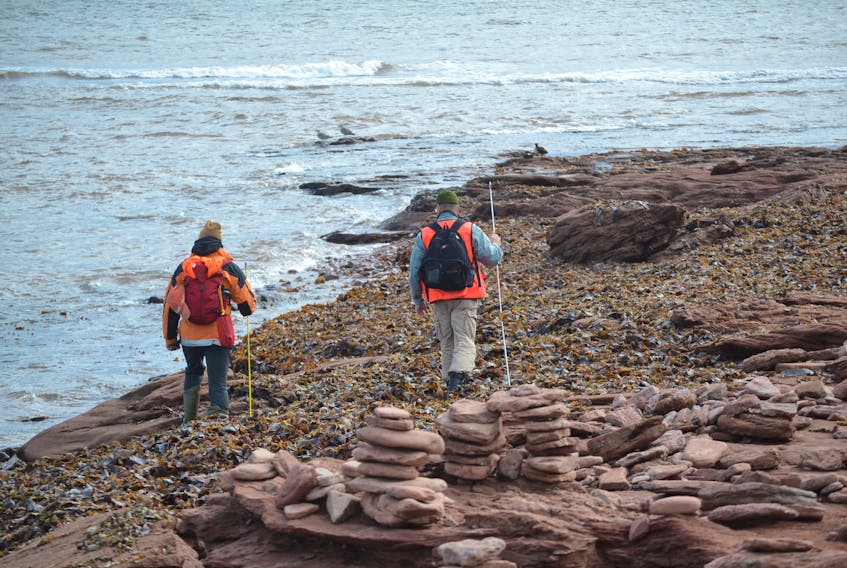 P.E.I. Ground Search and Rescue volunteers continued their search of a section of shoreline at North Cape Thursday, while looking for two men missing since their fishing boat went down in rough seas on Tuesday.