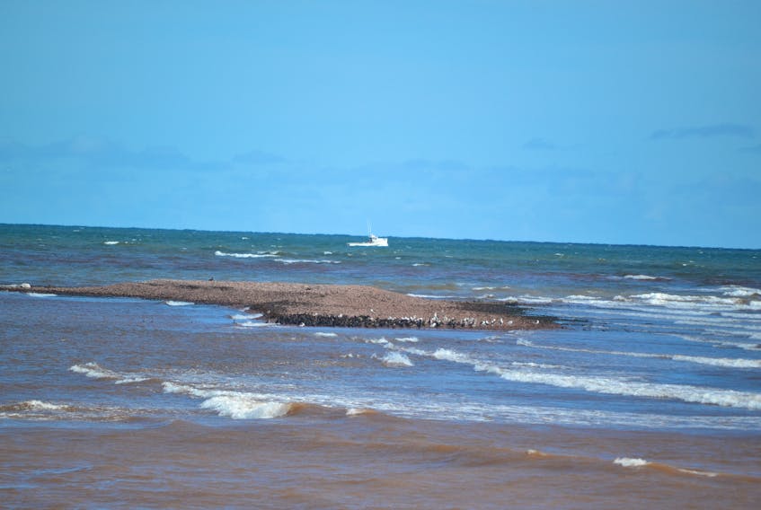 A fishing boat heads back to home port Thursday morning, near the location off the North Cape reef, where a boat from Tignish is believed to have sank on Tuesday. The Transportation Safety Board of Canada has launched an investigation into the sinking.
