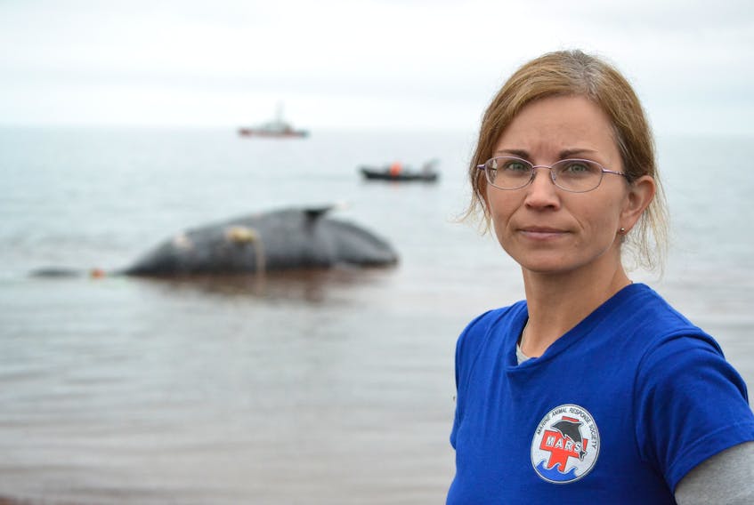 Tonya Wimmer, executive director of the Marine Animal Response Society, says the deaths of endangered North Atlantic right whales has to stop.
