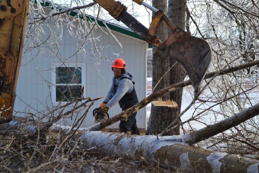 Corey Doyle starts limbing one of the 11 large trees cut down in his yard Thursday, the aftermath to Tuesday night’s ice storm.